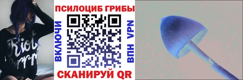 Галлюциногенные грибы Psilocybe  мега   даркнет наркотические препараты  Губаха 